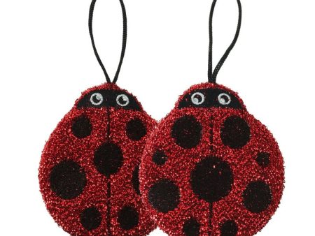 Cleaning Ladies Lady Bug Sponges on Sale