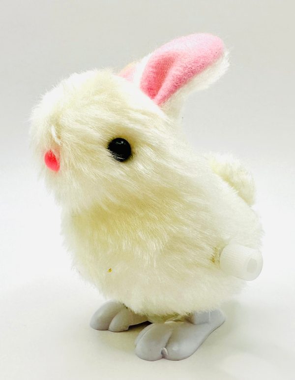 Wind Up Bunny on Sale