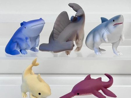 Jurassic Shark Blind Box For Sale