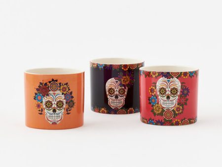 Sugar Skull Ceramic Planter Assorted Sale