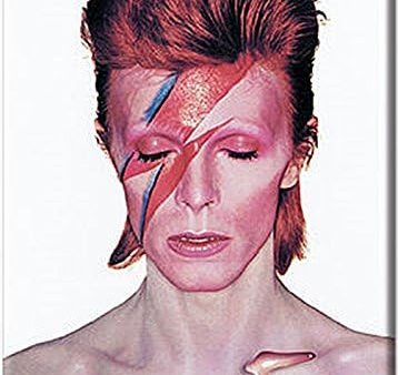 MAGNET David Bowie Aladdin Sane Supply