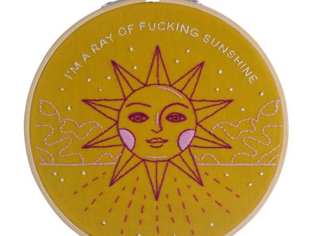 I m A Ray Of Fucking Sunshine 6  Embroidery Kit For Sale