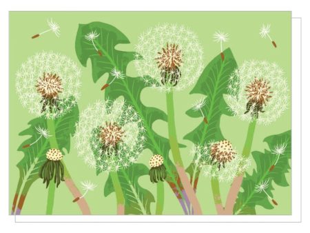 Card Dandelion Puffs on Sale