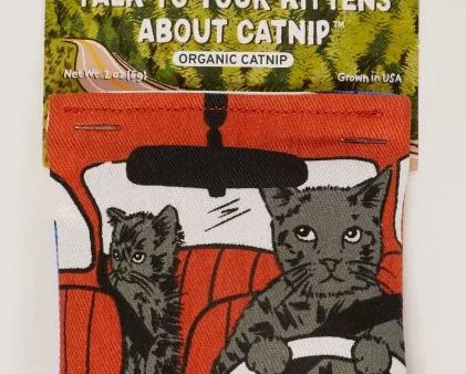 Talk To Your Kittens Catnip Toy For Cheap