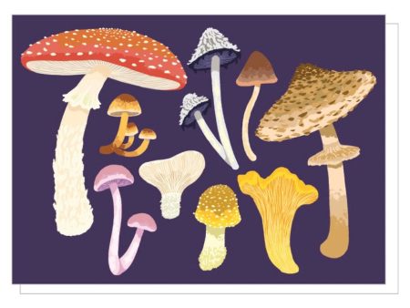 Card Mushroom Variety Hot on Sale