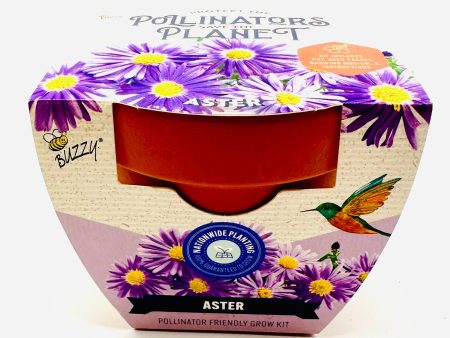 Aster Grow Kit Clay Online Hot Sale