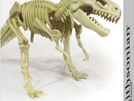 Smithsonian T-Rex Fossil For Discount