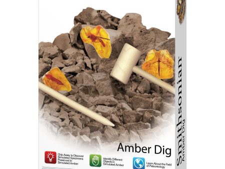 Smithsonian Amber Dig Sale