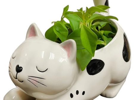 Raise Your Bum Kitty Planter Online now