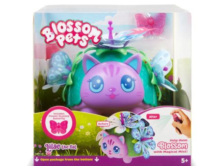 Lilac The Cat Blossom Pets Online Sale