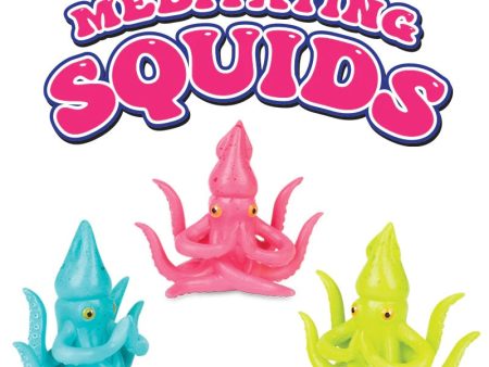 Meditating Squid For Sale