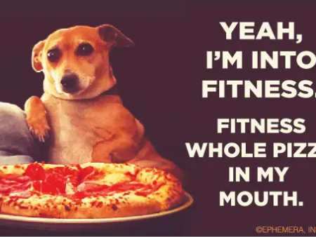 Yeah, I m Into Fitness Bumper Sticker Pizza Dog Supply