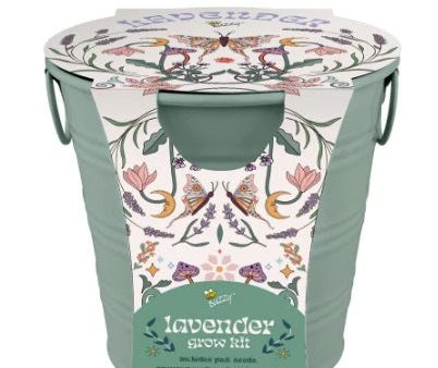 Lavender Grow Kit Pail Fashion