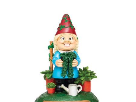 Crazy Plant Lady Garden Gnome on Sale