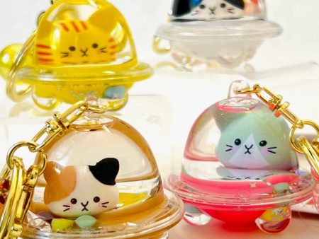 Cat Dome Keychain Discount