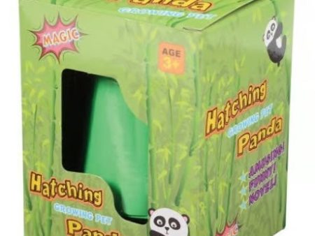 Hatching Panda Growing Pet Sale