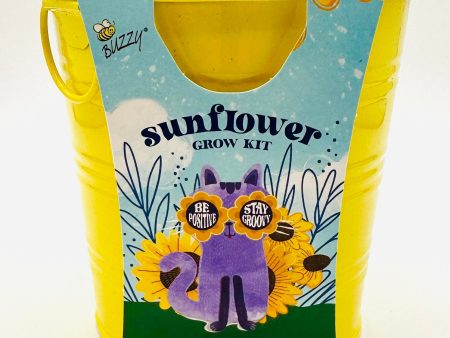 Kids Sunflower Grow Kit Yellow Pail Online now