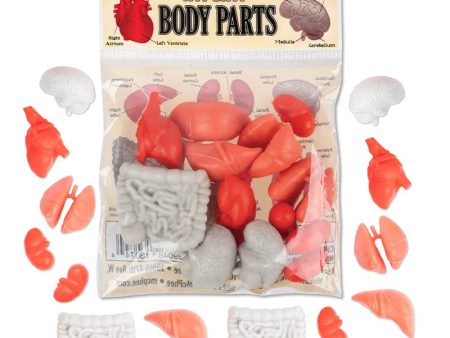 Itty Bitty Body Parts Online Sale