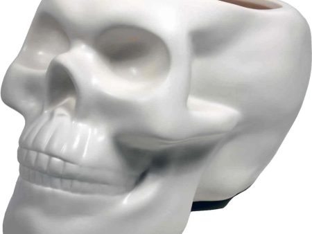 Bone Skull Planter Hot on Sale