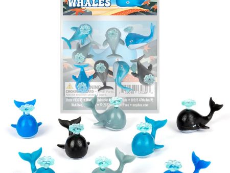 Itty Bitty Whales For Discount