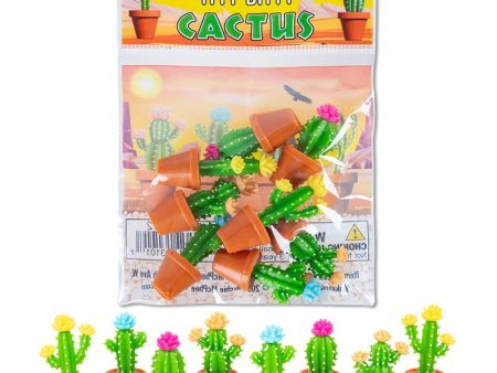 Itty Bitty Cactus Discount